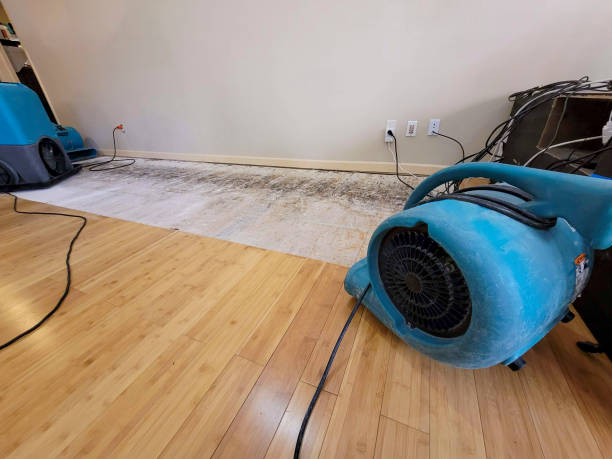 Professional Flood Damage Cleanup technician working in Coleman, WI